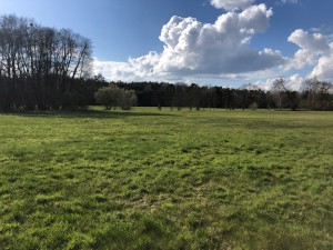 Ein Ort für unser erstes WorkLifeCamp?